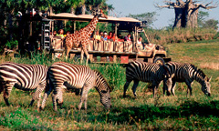 Safaris de Kilimanjaro ®