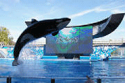 Crea en Orlando SeaWorld